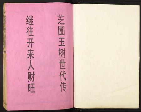 江西谢氏族谱-城东东山谢氏八九联修族谱.pdf电子版插图1