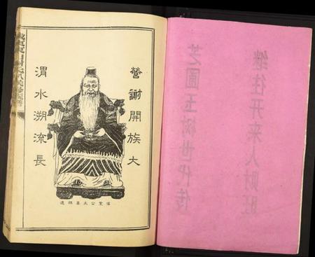 江西谢氏族谱-城东东山谢氏八九联修族谱.pdf电子版插图2