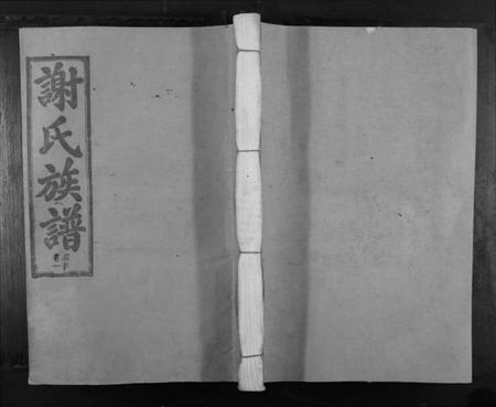 江西谢氏族谱-寻邬闰兴户谢氏二修族谱[16卷].pdf电子版