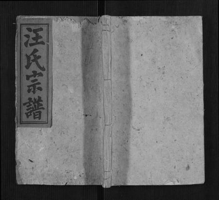 湖北汪氏族谱-汪氏族谱[5卷首1卷].pdf电子版