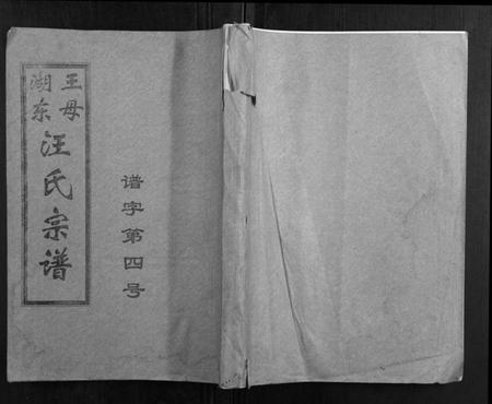 湖北汪氏族谱-王母湖东汪氏宗谱[16卷首1卷].pdf电子版