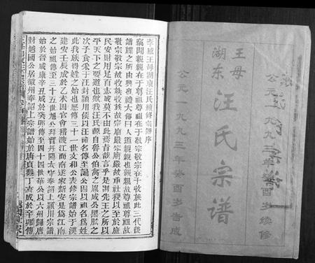 湖北汪氏族谱-王母湖东汪氏宗谱[16卷首1卷].pdf电子版插图1