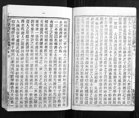 湖北汪氏族谱-王母湖东汪氏宗谱[16卷首1卷].pdf电子版插图2