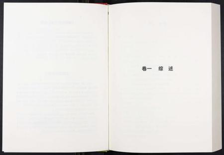 中国王氏族谱-中华王氏大成总谱. 第三部.pdf电子版插图2 中国王氏族谱-中华王氏大成总谱. 第三部.pdf电子版插图2