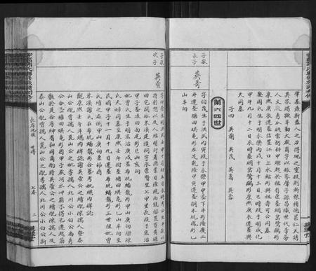 江西谢氏族谱-雩都谢氏联修族谱初修[按房分卷].pdf电子版插图3