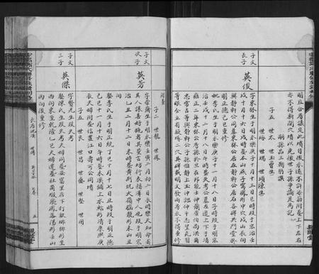 江西谢氏族谱-雩都谢氏联修族谱初修[按房分卷].pdf电子版插图5