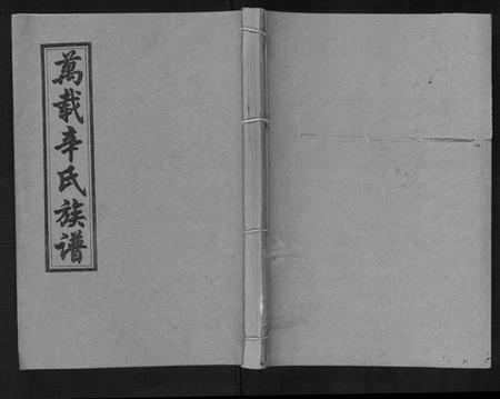 江西辛氏族谱-万载辛氏族谱 [按房分卷, 总卷2册, 长房谱44册, 次房谱1册, 幼房18册].pdf电子版