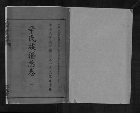 江西辛氏族谱-万载辛氏族谱 [按房分卷, 总卷2册, 长房谱44册, 次房谱1册, 幼房18册].pdf电子版插图1