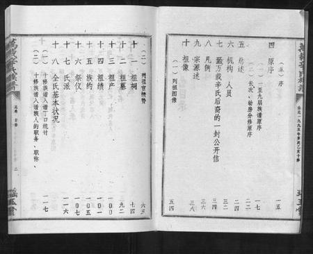 江西辛氏族谱-万载辛氏族谱 [按房分卷, 总卷2册, 长房谱44册, 次房谱1册, 幼房18册].pdf电子版插图3