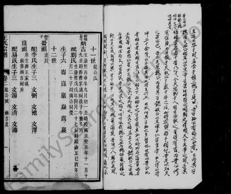 四川王氏族谱-王氏宗谱 [6卷,及首末].pdf电子版插图4