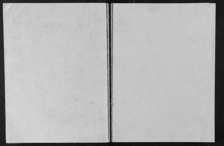 四川王氏族谱-王氏族谱[不分卷].pdf电子版