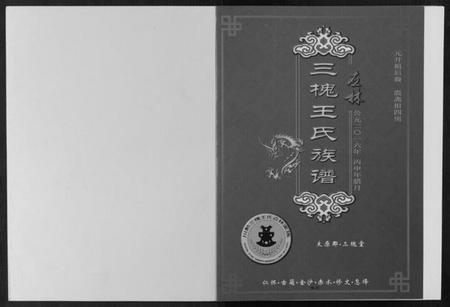 四川王氏族谱-王氏族谱[不分卷].pdf电子版插图1