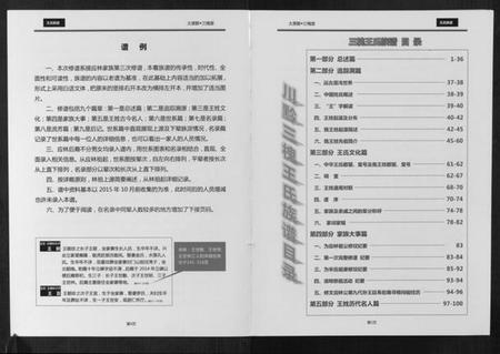 四川王氏族谱-王氏族谱[不分卷].pdf电子版插图3