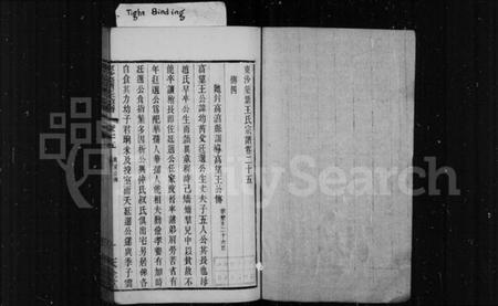 江苏王氏族谱-东沙筑塘王氏宗谱.pdf电子版插图2 江苏王氏族谱-东沙筑塘王氏宗谱.pdf电子版插图2