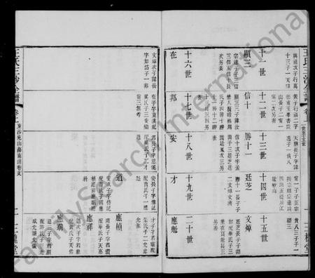 江苏王氏族谱-王氏三沙全谱.pdf电子版插图4