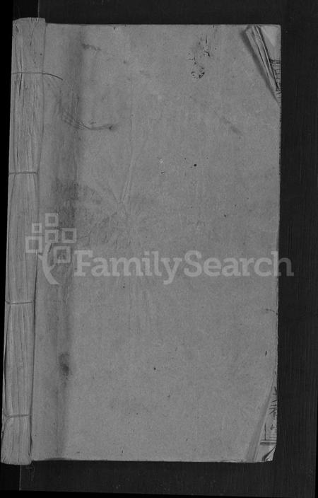 湖北王氏族谱-王兴三宗谱 [卷数不详].pdf电子版插图1