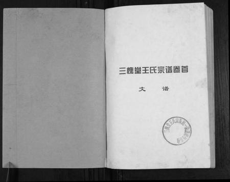 湖北王氏族谱-澴州王氏宗谱[13卷首1卷].pdf电子版插图1