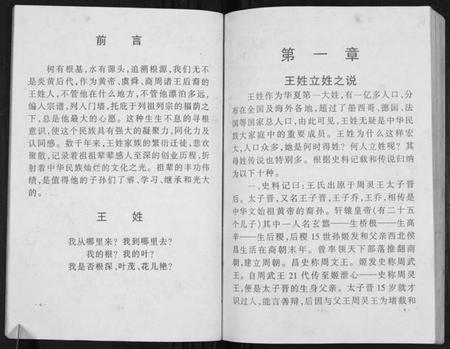 湖北王氏族谱-澴州王氏宗谱[13卷首1卷].pdf电子版插图5