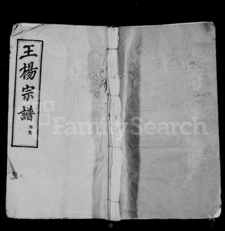 湖北王氏族谱-王杨宗谱 [11卷,首2卷].pdf电子版