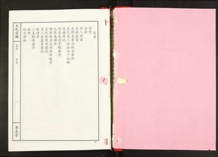 湖北王氏族谱-王氏宗谱.pdf电子版插图1 湖北王氏族谱-王氏宗谱.pdf电子版插图1