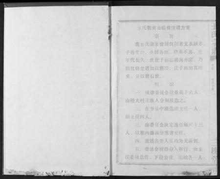 湖北王氏族谱-王氏宗谱.pdf电子版插图2 湖北王氏族谱-王氏宗谱.pdf电子版插图2