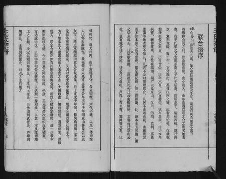 湖北王氏族谱-王氏宗谱.pdf电子版插图4 湖北王氏族谱-王氏宗谱.pdf电子版插图4