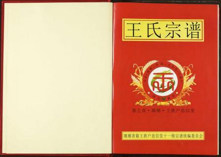 湖北王氏族谱-王氏宗谱.pdf电子版插图2