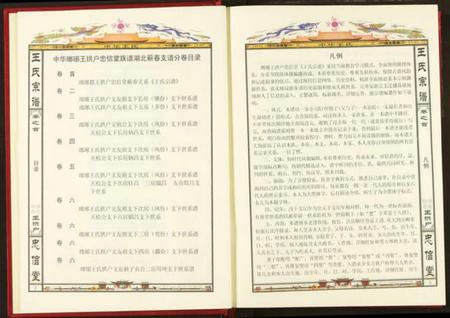 湖北王氏族谱-王氏宗谱.pdf电子版插图4