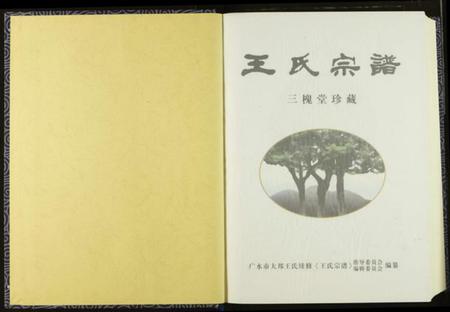 湖北王氏族谱-王氏宗谱.pdf电子版插图2 湖北王氏族谱-王氏宗谱.pdf电子版插图2