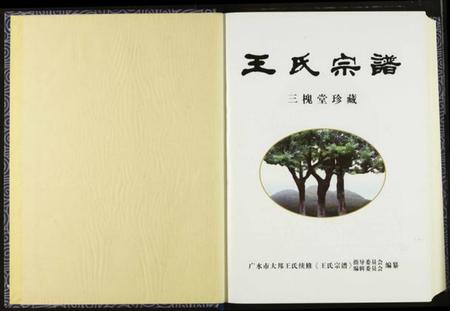 湖北王氏族谱-王氏宗谱.pdf电子版插图3 湖北王氏族谱-王氏宗谱.pdf电子版插图3