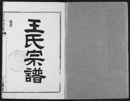 湖北王氏族谱-王氏宗谱.pdf电子版插图1