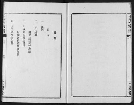 湖北王氏族谱-王氏宗谱.pdf电子版插图2