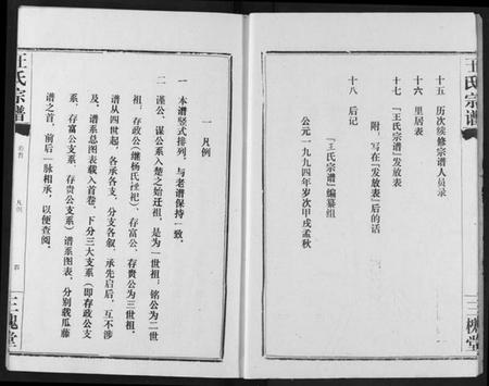 湖北王氏族谱-王氏宗谱.pdf电子版插图5