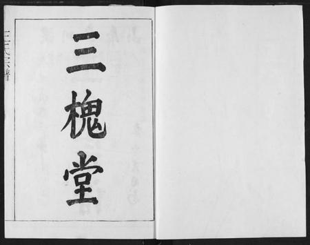 湖北王氏族谱-王氏宗谱.pdf电子版插图1