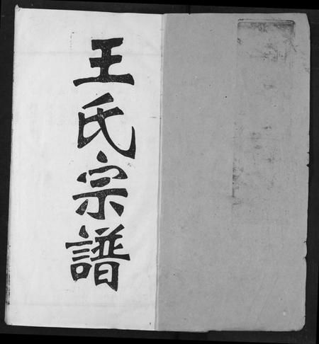 湖北王氏族谱-王氏宗谱.pdf电子版插图1