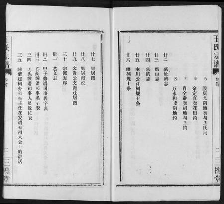 湖北王氏族谱-王氏宗谱.pdf电子版插图4