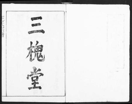 湖北王氏族谱-王氏宗谱.pdf电子版插图1