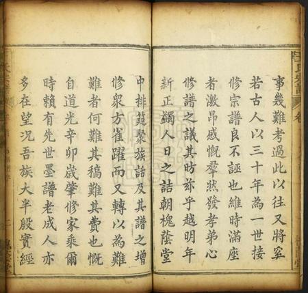 湖北王氏族谱-王氏宗谱.pdf电子版插图2