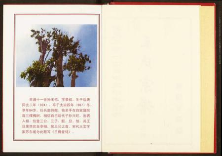 湖北王氏族谱-王氏宗谱.pdf电子版插图3