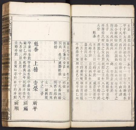 湖北王氏族谱-王氏宗谱.pdf电子版插图2