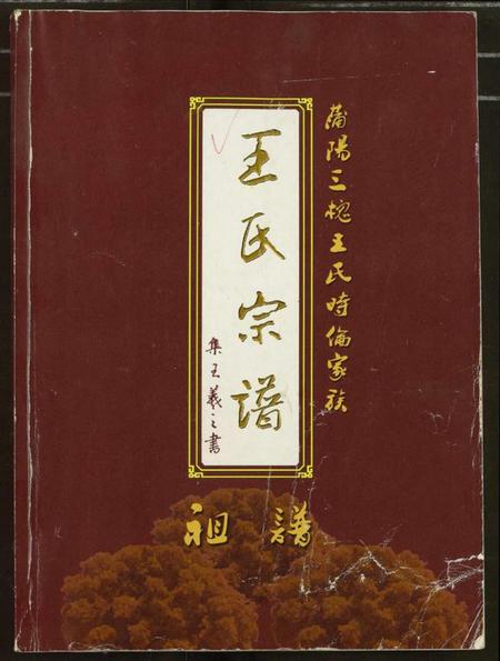 湖北王氏族谱-王氏宗谱.pdf电子版插图 湖北王氏族谱-王氏宗谱.pdf电子版插图
