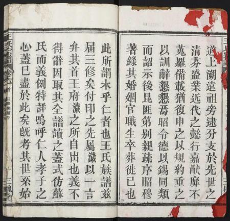 湖北王氏族谱-王氏宗谱.pdf电子版插图2