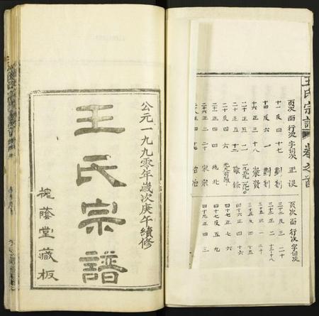 湖北王氏族谱-王氏宗谱.pdf电子版插图2