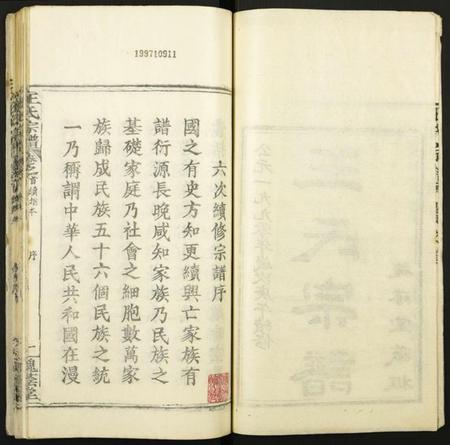 湖北王氏族谱-王氏宗谱.pdf电子版插图3