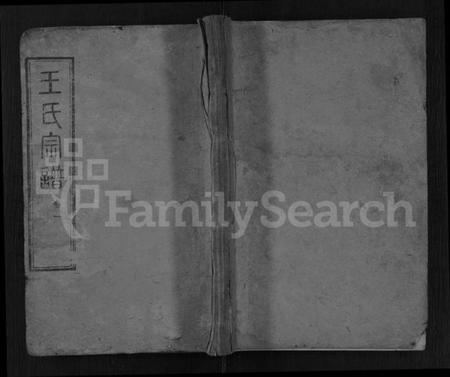 湖北王氏族谱-王氏宗谱 [10卷].pdf电子版