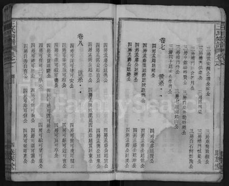 湖北王氏族谱-王氏宗谱 [10卷].pdf电子版插图4