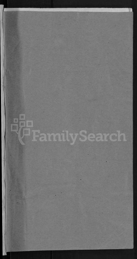 湖北王氏族谱-王氏宗谱 [19卷].pdf电子版插图1