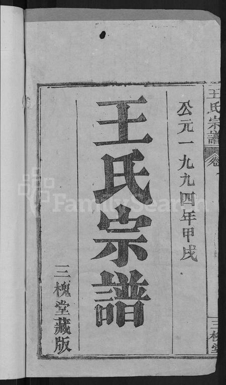 湖北王氏族谱-王氏宗谱 [19卷].pdf电子版插图2