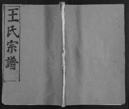 湖北王氏族谱-王氏宗谱 [31卷及卷首2卷, 卷表7卷].pdf电子版