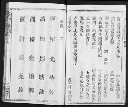 湖北王氏族谱-王氏宗谱 [31卷及卷首2卷, 卷表7卷].pdf电子版插图3